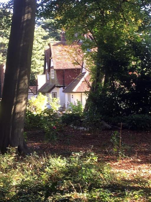 Highfield Lodge Tring Exteriör bild