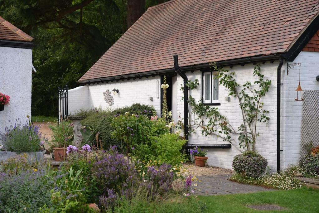 Highfield Lodge Tring Exteriör bild